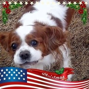 Meet your Posher, Wallace